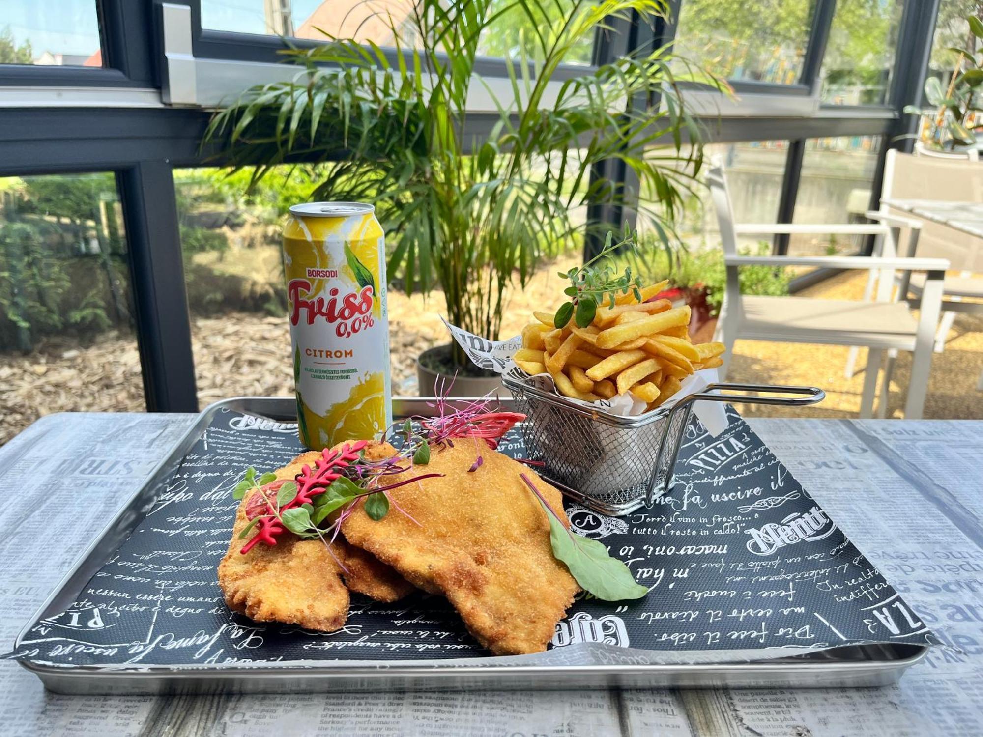 Győrújbarát Pipacs Panir & Grill Garden Vendeghaz酒店 外观 照片